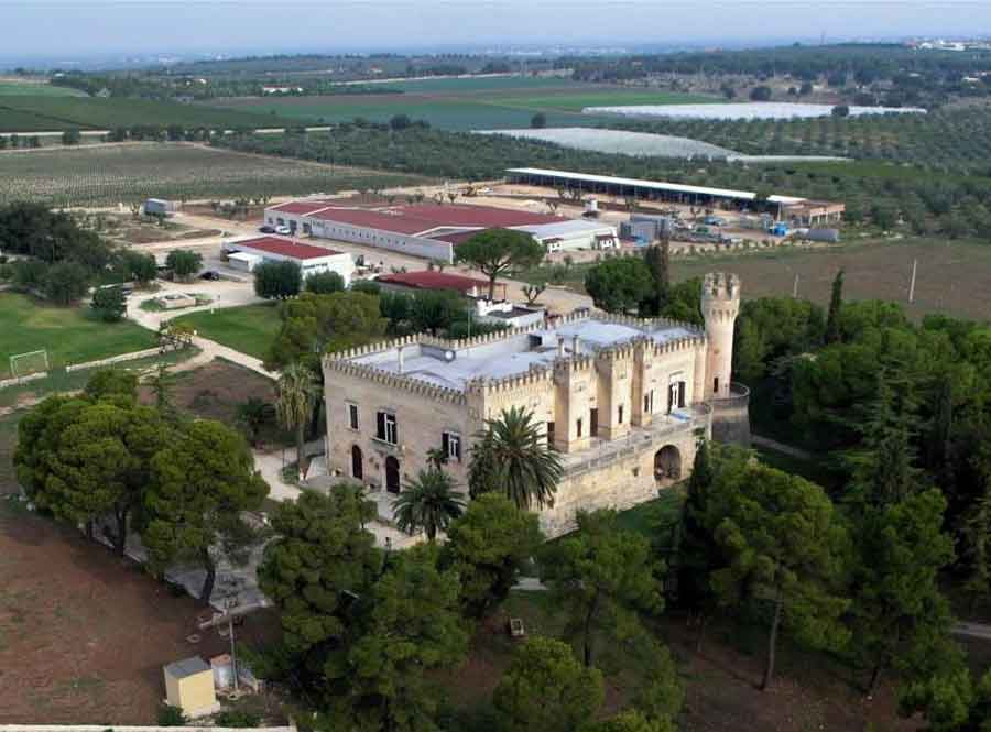 Azienda Agricola Giancarlo Ceci: dalla Puglia una naturale vocazione all'eccellenza