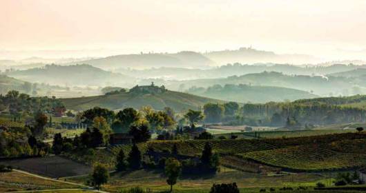 SI CHIUDE IL VINITALY POSITIVO DEL CONSORZIO BARBERA D’ASTI E VINI DEL MONFERRATO CON LA PRESENTAZIONE DI “MONFERRATO WINE FESTIVAL – MONFERRATO IDENTITY”, L’ EVENTO PER SCOPRIRE LA PIÙ AMPIA AREA VITATA DEL PIEMONTE