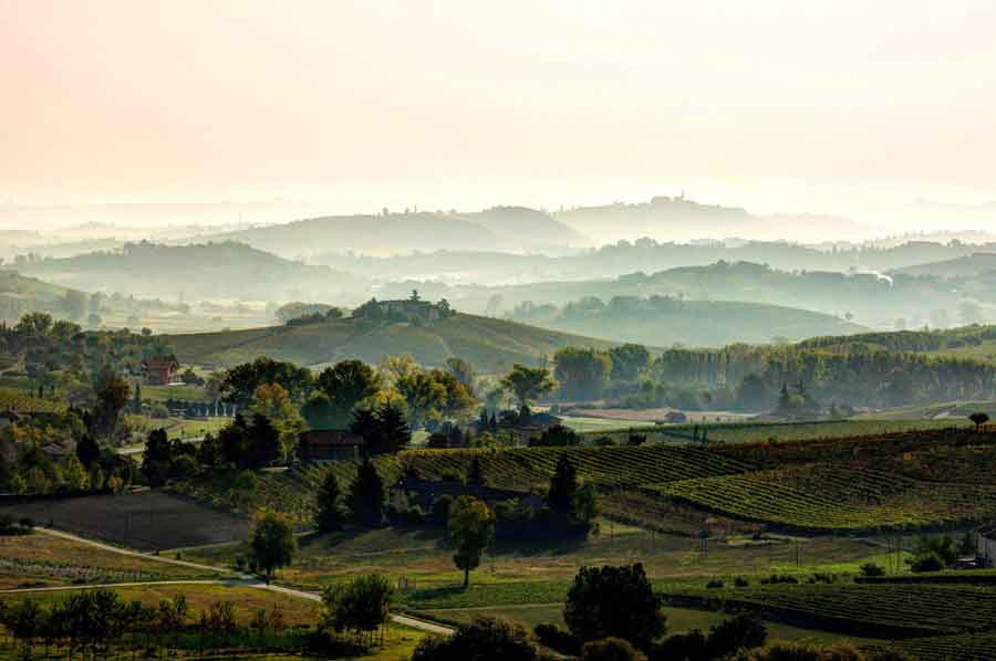 SI CHIUDE IL VINITALY POSITIVO DEL CONSORZIO BARBERA D’ASTI E VINI DEL MONFERRATO CON LA PRESENTAZIONE DI “MONFERRATO WINE FESTIVAL – MONFERRATO IDENTITY”, L’ EVENTO PER SCOPRIRE LA PIÙ AMPIA AREA VITATA DEL PIEMONTE