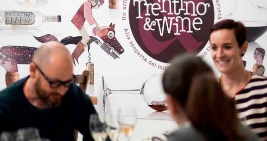 Trentino & Wine: il vino e il suo territorio
