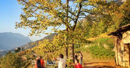 Trentino, verso l'autunno è tempo di brindare