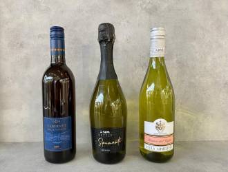 Bottiglie vino in pet tipologie