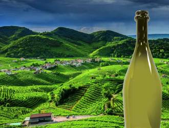 Bottiglia in Pet per spumante nata nelle colline Unesco COnegliano Valdobbiadene