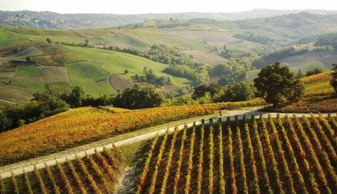 L'industria del vino in Italia è in costante evoluzione e offre molte opportunità di investimento per i giovani imprenditori. 