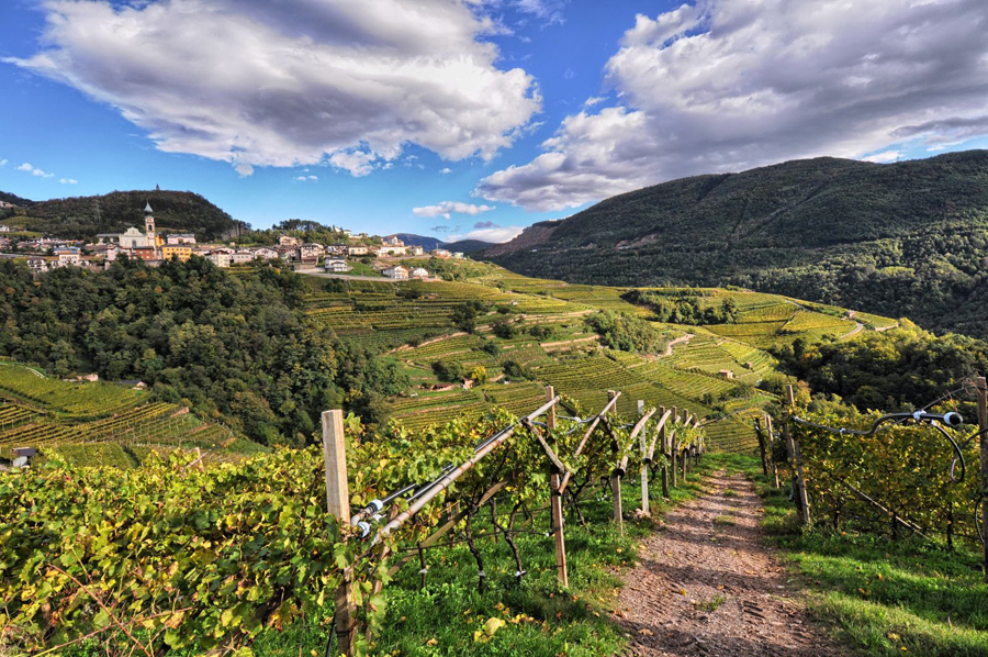 DOLO-VINI-MITI, dal 6 all'8 ottobre il festival dei vini verticali in Val di Cembra