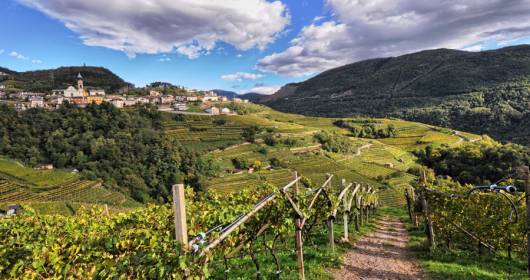 DOLO-VINI-MITI, dal 6 all'8 ottobre il festival dei vini verticali in Val di Cembra