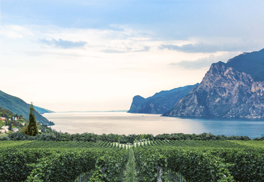 ANUGA 2023, IL CONSORZIO GARDA DOC PARTECIPA ALLA GRANDE FIERA DEL FOOD&BEVERAGE A COLONIA 	