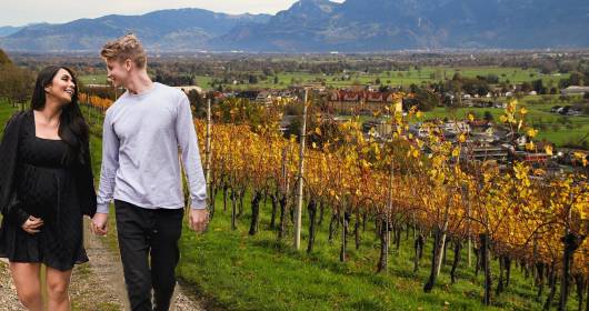 Scopri le Strade del Vino Italiane in Autunno!