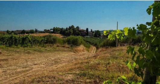 Toscana: Azienda agricola di circa 120 ettari!