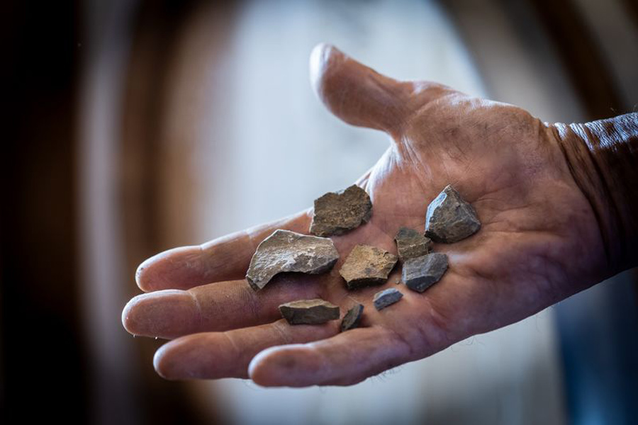 Amore per la natura e attenzione alla sostenibilità: la nuova veste dell’azienda agricola Tenuta Stella è un inno alla vita