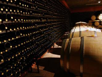 Trend del vino in Italia: Esplosione dei Bianchi, Calo dei Rossi e Sfide per l'Amarone