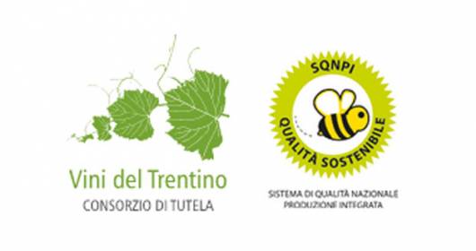 Consorzio Vini del Trentino presente a ProWein 2024: anticipazioni e novità