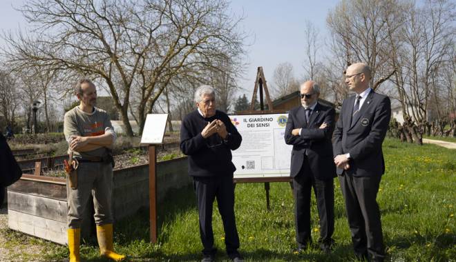 Nasce il progetto Adotta una vigna con AIS Veneto: dalla barbatella al vino nel segno della solidarietà e della formazione