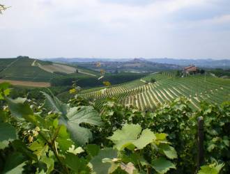 Vinarius presenta “Oltrepò Wine Experience”