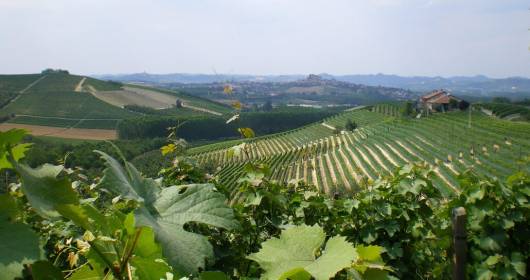 Vinarius presenta “Oltrepò Wine Experience”