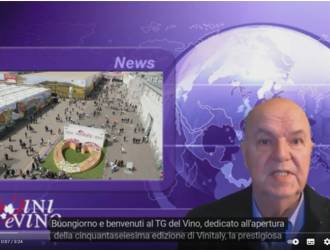 TG del Vino - Vinitaly 2024