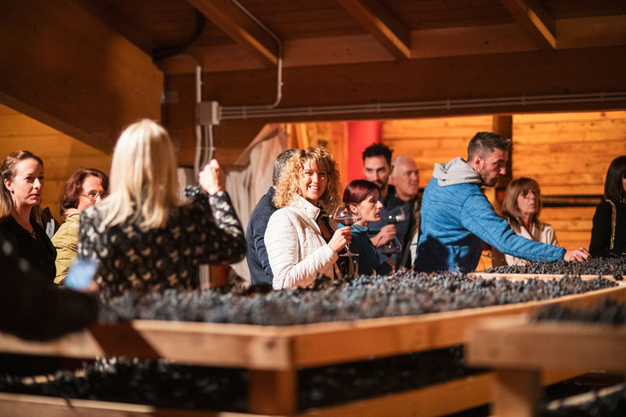 Trentino, appuntamenti enogastronomici con DiVin Ottobre