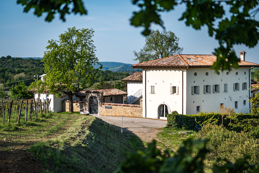 LA VITICOLTURA MILLENARIA PROTAGONISTA A GRADIS'CIUTTA