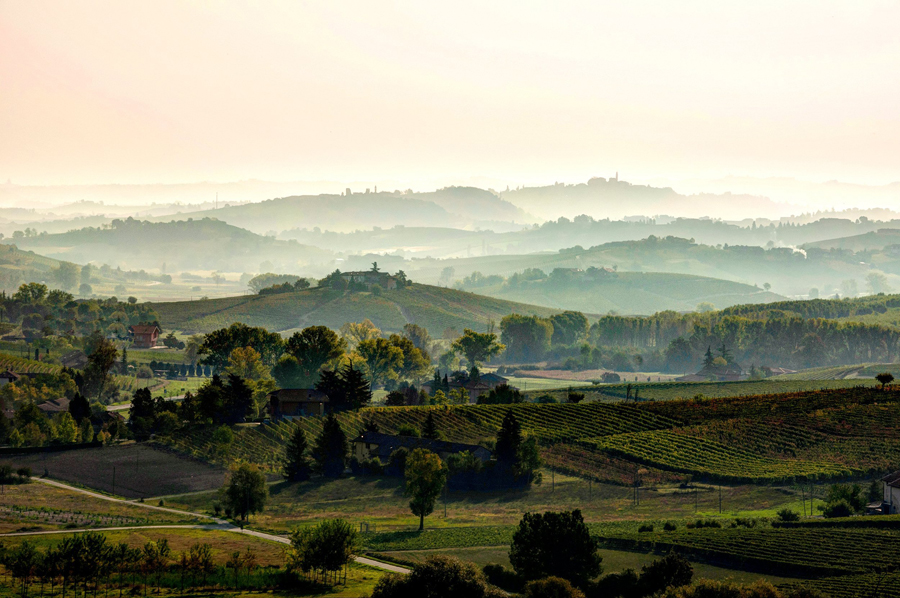 CONSORZIO BARBERA D’ASTI E VINI DEL MONFERRATO: DAI SUCCESSI DEL 2024 ALLE AMBIZIONI DEL 2025 	