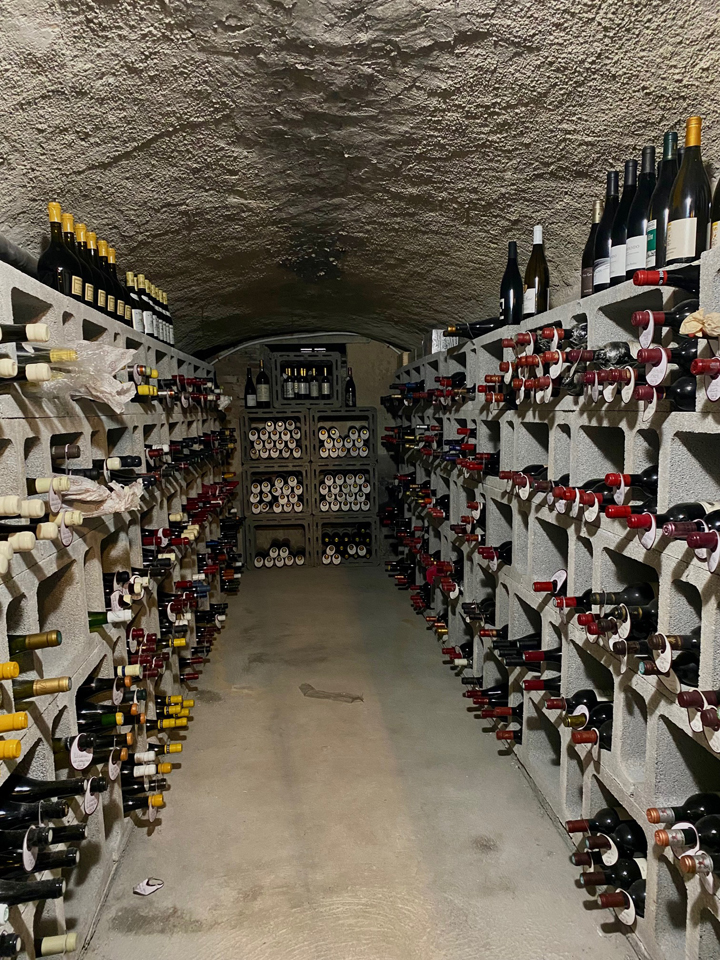 Barolo e Barbaresco: un Viaggio tra le Annate 2013 e 2019