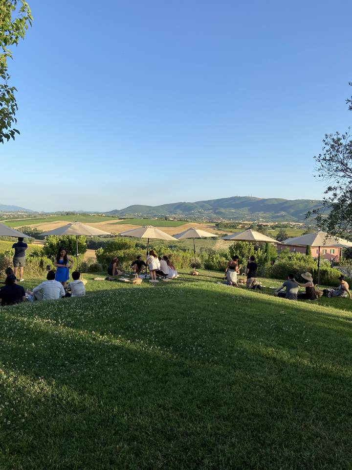 MTV UMBRIA PRESENTA CANTINE APERTE 2025: 44 CANTINE PRONTE AD ACCOGLIERE I VISITATORI