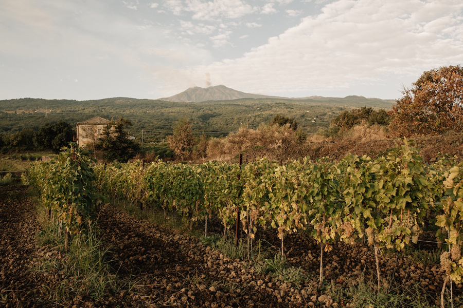 ETNA Cusumano presenta Alta Mora ARRIGO