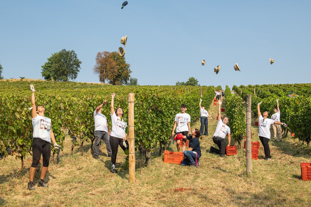 Da "Braida" vendemmia didattica con degustazione	