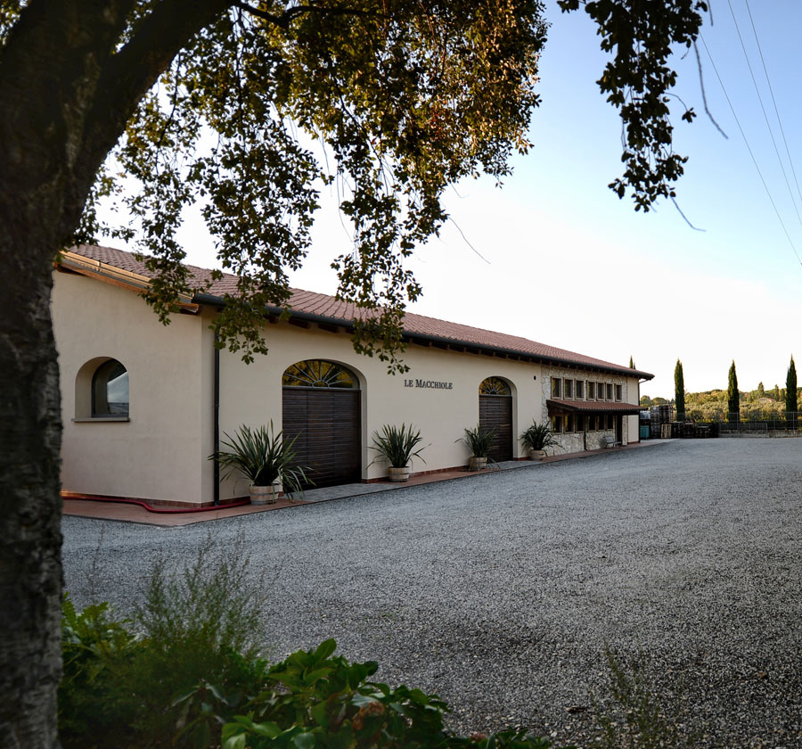 LE MACCHIOLE PORTA IN DEGUSTAZIONE IL BOLGHERI ROSSO 2023 IN OLTRE 50 LOCALI IN TUTTA ITALIA