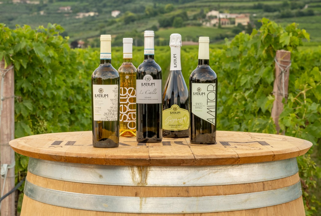 Vinitaly 2026: Ilatium Morini sceglie bianchi, bollicine e biologico