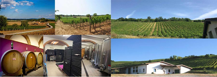 Due opportunità di investimento vitivinicolo in Toscana e Lombardia: cantine, vigneti e immobili di pregio