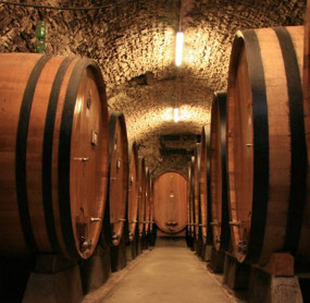 Guida I Vini d'Italia 2015 de L'Espresso: tutti i vini premiati